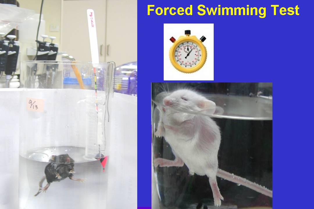 The Cilantro Gene Why It Tastes Soapy to Some People